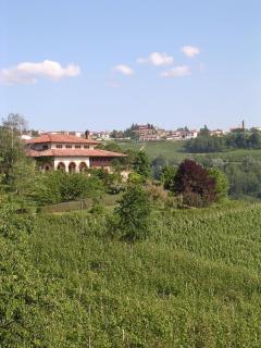 Villa San Domenico a Barbaresco - Barbaresco - 4