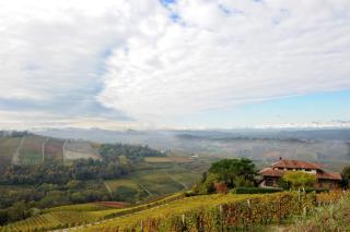 Villa San Domenico a Barbaresco - Barbaresco - 8