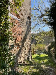 Orbregno Country Houses with Personal Wine Cellar - 3