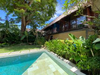 Little Tree House - 5