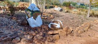 Akkedis at Artemis - Franschhoek - 9