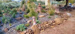 Akkedis at Artemis - Franschhoek - 8