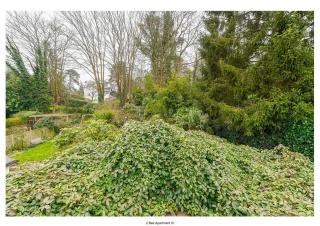 The Park Apartment - Haywards Heath - 7