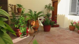 Phaedra Hotel - Hydra - 4