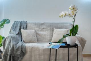 IzzHome Everyway - Pula - 4