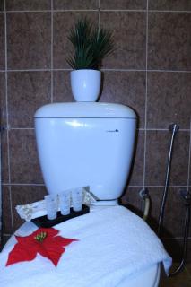 Ghazrin's Garuda Hotel - Johor Bahru - 1