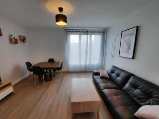 chambre1 dans appartement 75m2 - Troyes - 6