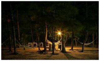 Seclude Kerala, Marari Sands - Mararikulam - 1