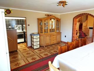 Casa Neagu - Covasna - 1