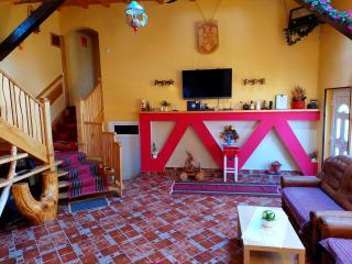 Casa Neagu - Covasna - 6