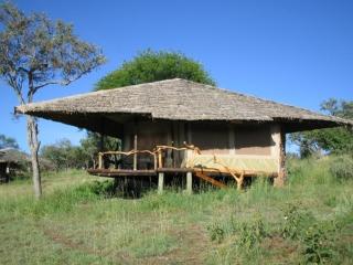 Mbalageti Serengeti - Serengeti-Nationalpark - 9