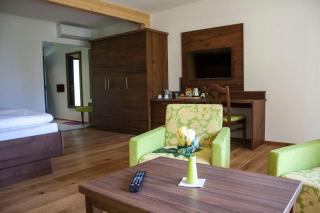Villa Resort & Organic Spa - České Budějovice - 7