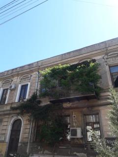 Гела - Tbilisi - 0