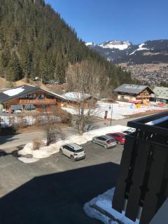 Studio les freinets Châtel - 9