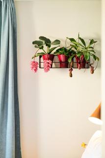 Rotes Haus Bregenz Pop-Up Wohnung - 3