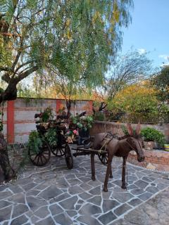 CASONA DOS VIDAS - El Sauz Tequisquiapan - 7