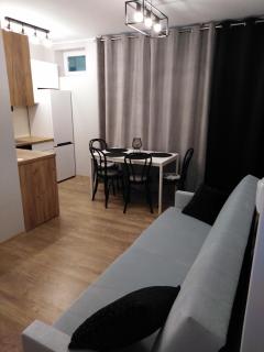Apartament JOANNA - Sanok - 9