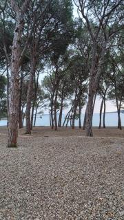 Mobile Home Heaven Biograd - Biograd na Moru - 4