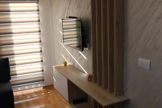 Apartmani & SPA Davidović - Zlatibor - 7