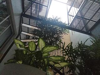 Hotel HCM Guadalajara - Guadalajara - 6