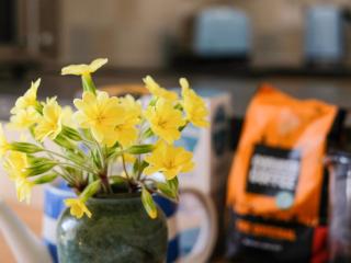 The Patio Flat - Bodmin - 3