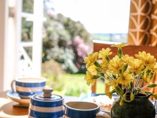 The Patio Flat - Bodmin - 2