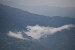 Nava homestay - 6