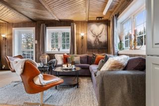 Skeikampen cabin with mountain view, jacuzzi, and 8 bedrooms - Aulstad - 3