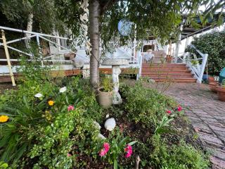Ivy May Cottage - Lakes Entrance - 4