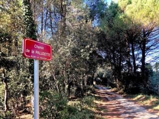 Mas des Lavandes - 3 gîtes de charme au calme avec grande piscine en Drôme-Provençale - Suze-la-Rousse - 4