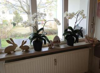 Ferienwohnung Angelo - 8