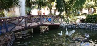 Insignia Beach Resort Premium 1 BHK serviced Appartments,The Club Krishna Sea Sight ,Puri - Puri - 7