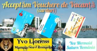 Yvo Lioness & Mamaia Nord - Mamaia Nord – Năvodari - 8