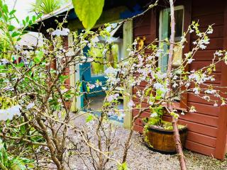 Driftwood Country Apartment - 2