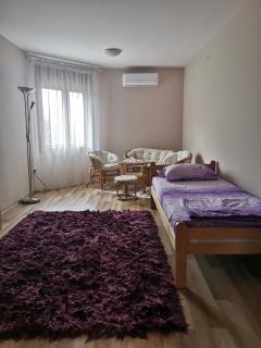 Jumiko Apartments - Vrnjačka Banja - 2