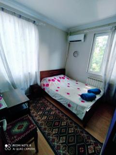 Rose House - Tiflis - 3