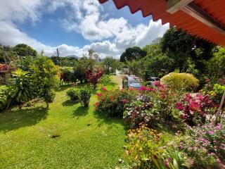 El Zumbito - El Valle de Antón - 8
