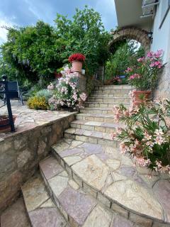 Agape - Struga - 3