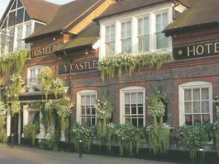 The Castle Inn Hotel - Steyning - 0
