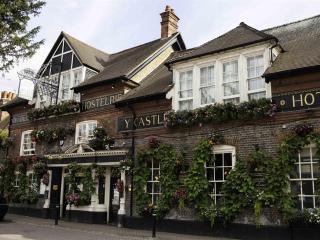 The Castle Inn Hotel - Steyning - 9