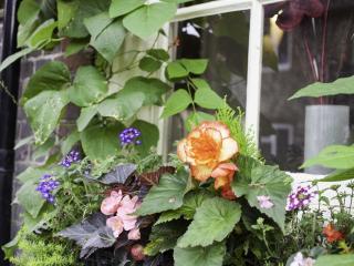 The Castle Inn Hotel - Steyning - 5