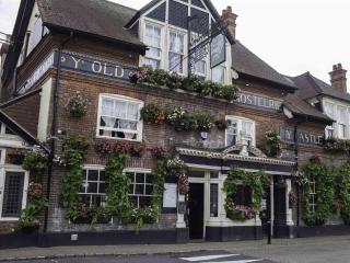 The Castle Inn Hotel - Steyning - 4
