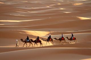 Merzouga Desert Bivouac & Activities - Merzouga - 5