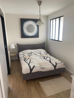 Magnifique appartement au coeur de Mulhouse - Mulhouse - 5