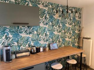 Magnifique appartement au coeur de Mulhouse - Mulhouse - 1
