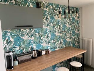 Magnifique appartement au coeur de Mulhouse - Mulhouse - 7