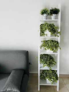 La stella di Chanel - Nardò - 3