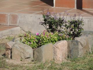 El Rancho de Manolo - 3