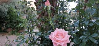 RIAD Camping ATLAS - Tinerhir - 5