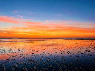 Rocky Point - Ocean Front - King - Suites - Sleeps12 - Gated - POOLS WI-FI - 4